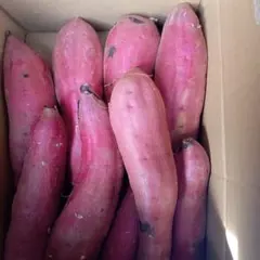 茨城県紅はるかLサイズ以上10kgのサムネイル