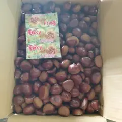 2026年最新】厚保栗の人気アイテム - メルカリ