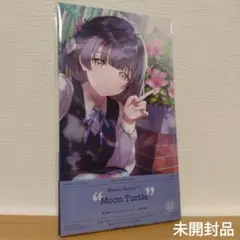 ツキノカメ 秦谷美鈴 4枚 - メルカリ