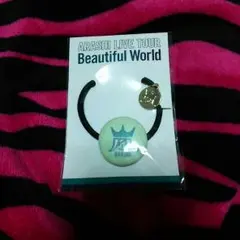 嵐 美世界 ヘアゴム