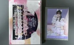 =LOVE イコラブ　7周年　コンサート　DVD 初回限定盤　髙松瞳　生写真付き