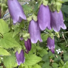 みかん様 リクエスト 3点 まとめ商品