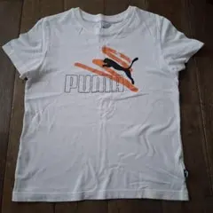 【K22】PUMA　半袖Tシャツ　140cm