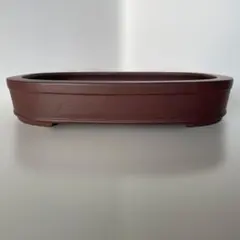 2025年最新】盆栽鉢 常滑の人気アイテム - メルカリ