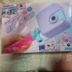 버즈 캠
