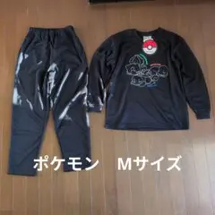 Item thumbnail for item c3c2cda8-6303-4373-896d-7f6a7e1e3184