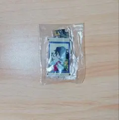 鬼滅の刃 冨岡義勇 アクキー