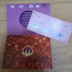 ディズニー　ラプンツェル 　ピンバッジ