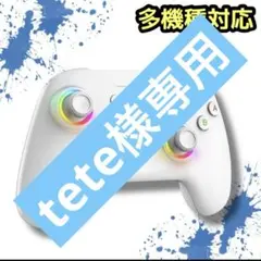 【1点限り】スイッチコントローラー　プロコン　ワイヤレス　振動　Switch2