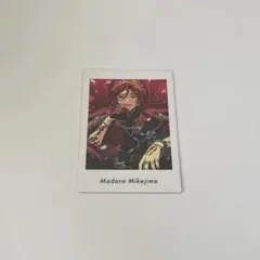 【あんスタ】ぱしゃっつ 三毛縞斑