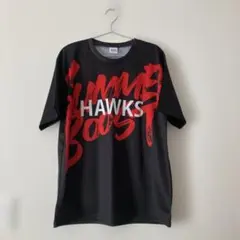 ソフトバンクホークス 応援Tシャツとタオルのセット