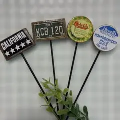 ガーデンピック81☆多肉植物☆サボテン☆複数購入は50円引きのサムネイル