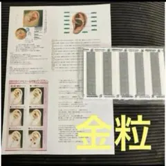 20粒❣️痩せ報告ありの説明書カラーコピーと耳つぼシールおまけ付き2枚