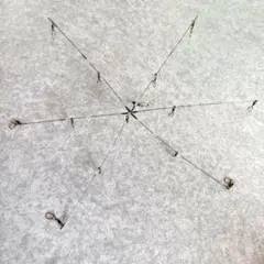 Item thumbnail for item ce7cfaa5-3549-4262-aa94-fddd98963b6c