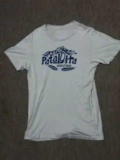 patagoniaパタゴニア パタロハ ハレイワ限定Tシャツ S