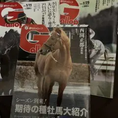 2026年最新】週刊ギャロップの人気アイテム - メルカリ