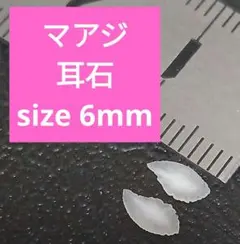 マアジ 耳石 お守りパワーストーン天然石宝石開運受験F61