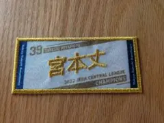 東京ヤクルトスワローズ 2022年 セ・リーグ優勝記念CSスワポン 青木