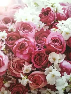 なおっち様専用