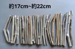 ☺︎No.8.99 流木28本　約17cm~約22cm まとめ売り