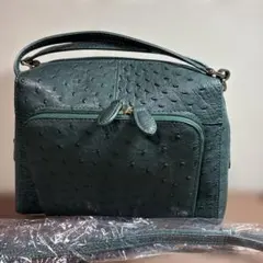 ロダニア オーストリッチ スクエアデザイン2WAYバッグ