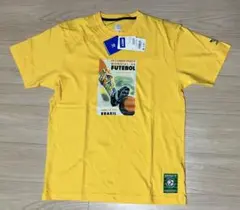 Item thumbnail for item 17a4ccab-b050-408a-a613-06dff239102a