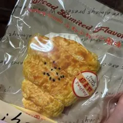PangPang Studio 스퀴즈 팬 코로네 스퀴즈