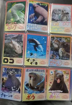 て*る様 鳥羽水族館　コレクションカードvol.2 フルコンプリート　　全50種 ノーマルコンプセット41枚 鳥羽水族館コレクションカード2(バラ売り可