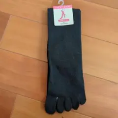 Item thumbnail for item d75c54a1-11e5-4022-bd64-a6c9913eb4f3