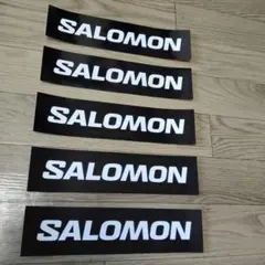 a 未使用保管品 SALOMON サロモン ワッペン - メルカリ
