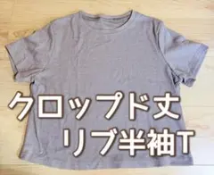 【新品未使用】ブラウン クロップド丈 リブ半袖Tシャツ