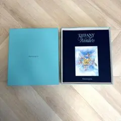 ティファニーワンダー展　図録　未開封　ボックスつき 新品未使用】ティファニーワンダー展 公式図録 箱入り