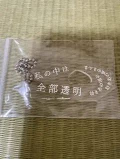 HELLO! PROJECT アクリルキーホルダー 私の中は全部透明