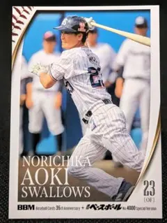 Item thumbnail for item 9d373ca1-b6d3-4ceb-9527-9ac36e0e6110