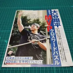 Item thumbnail for item 62efecbe-89cb-4fc9-948b-c13b6c3c2c25