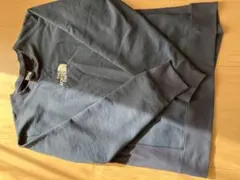 Item thumbnail for item 1455ef91-49a3-4434-b71c-3fdbf8c4cddd