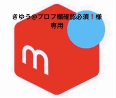 きゆう@プロフ欄確認必須❗️様専用