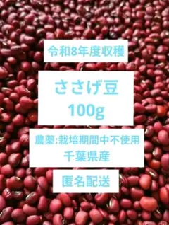 2026年最新】種類：ささげ豆 食品 野菜の人気アイテム - メルカリ