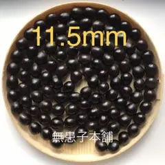無患子本舗　11.5mm sizeムクロジの種子穴開き110個+増量10個
