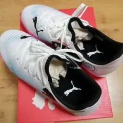 Item thumbnail for item 2b0a45a9-4a3a-4829-8ab0-48e6691ac33b