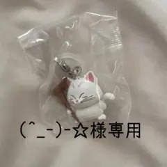 ドラゴンボール めじるしアクセサリー4 カリン様
