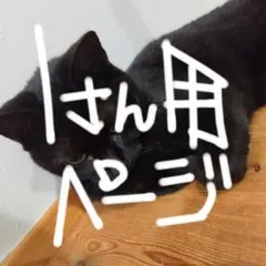 不滅のあなたへ アクリルスタンド 1点 グーグー リーン