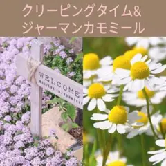 茎ワカメ様 リクエスト 4点 まとめ商品