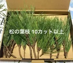 もちこ✿様 リクエスト 2点 まとめ商品