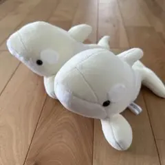 ホワイト アルビノ 小 名古屋港水族館 ぬいぐるみくじ シャチのサムネイル