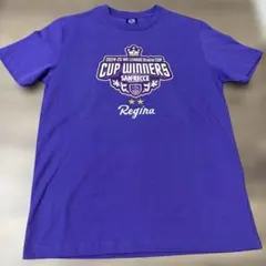 Item thumbnail for item d17f3f0b-b835-45eb-b1f5-1d22ed046ae7