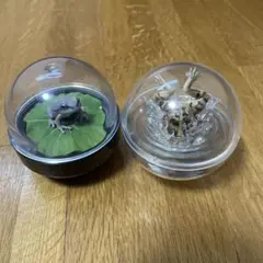 カエルのフィギュア カプセルトイ 2個セット