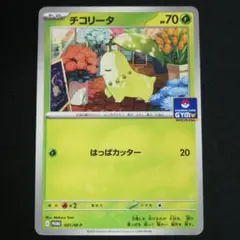 ジムプロモ チコリータ