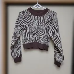 CECIL McBEE ゼブラ柄 クロップドニット