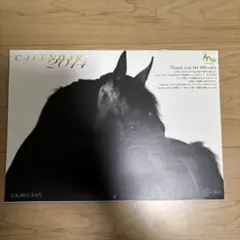 2014年 JRA 競馬 壁掛けカレンダー